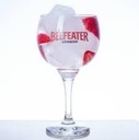 Merchandising Copon Beefeater  x 1u