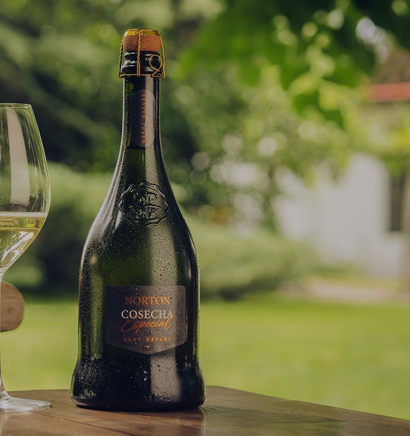 Espumante Norton Cosecha Especial Brut Nature 750ml x 6u