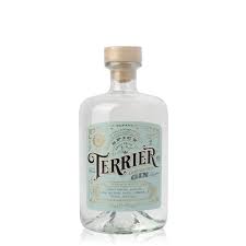 Terrier Spicy