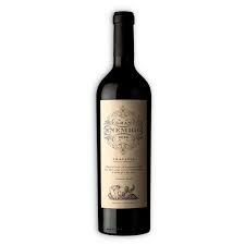 El Gran Enemigo Chacayes Cab Franc 750ml