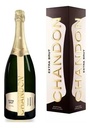 Chandon Extra Brut Magnum Con Estuche 1,5l x 1u