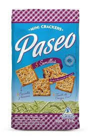 Paseo Salvado 5 Semillas GALLETITA 300gr x 14u