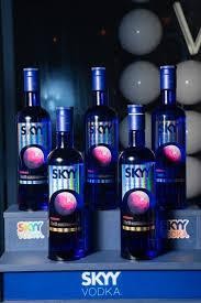 Merchandising Kit Skyy Fiesta  x 1u