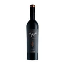 Vino Cafayate Reserve Malbec 750ml x 6u