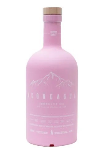 Gin Aconcagua Pomelo 750ml x 6u