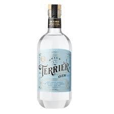 [114087] Gin Terrier Spicy 750ml x 1u