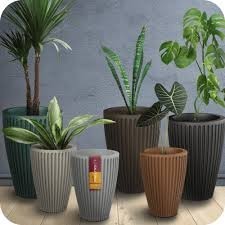 [402084] Vaso Qero Carpano 2024-550MM                                                                                                                                             x 1u